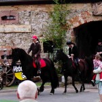 2010-05_maibaum_reiter
