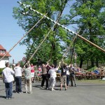 2011_maibaum_stellen_1k