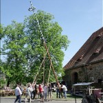 2011_maibaum_stellen_2k