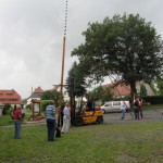 2011_maibaumziehen 041