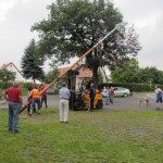 2011_maibaumziehen 046