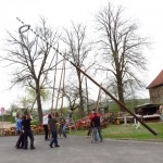 2013_maibaum_2 123_9k