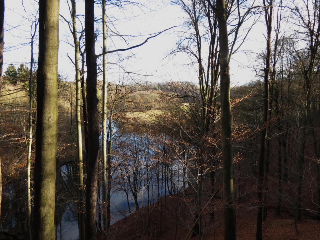 2013_Dezember_III_Zschopautalrunde_grün_004