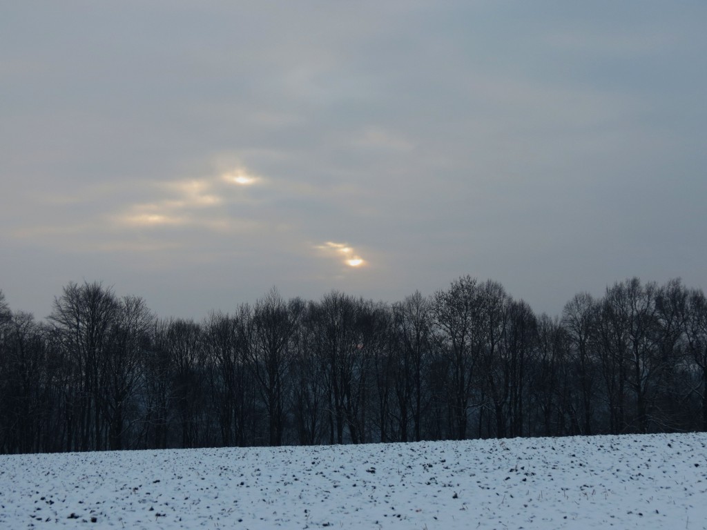 2014_Januar_Zschoeppichen_Neusorge_011