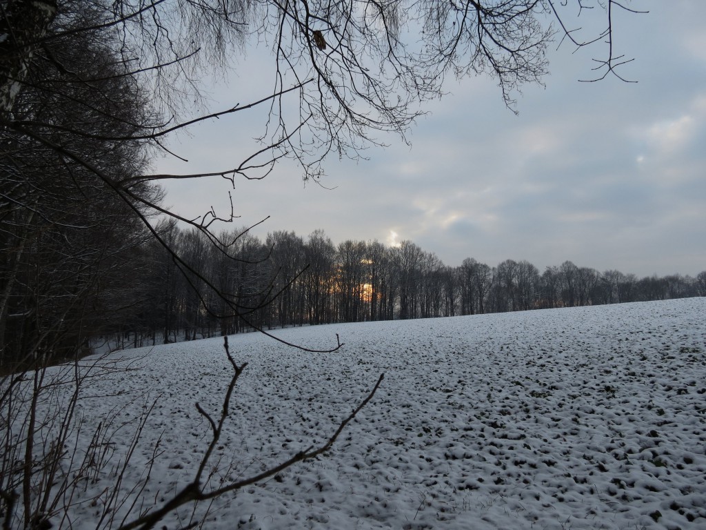 2014_Januar_Zschoeppichen_Neusorge_014